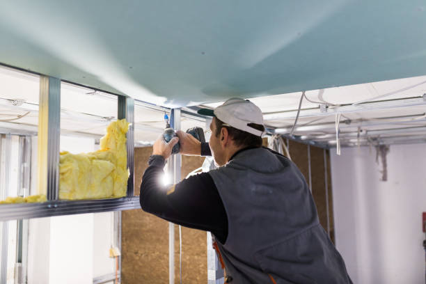 Best Insulation Maintenance and Repair in Brunswick, OH